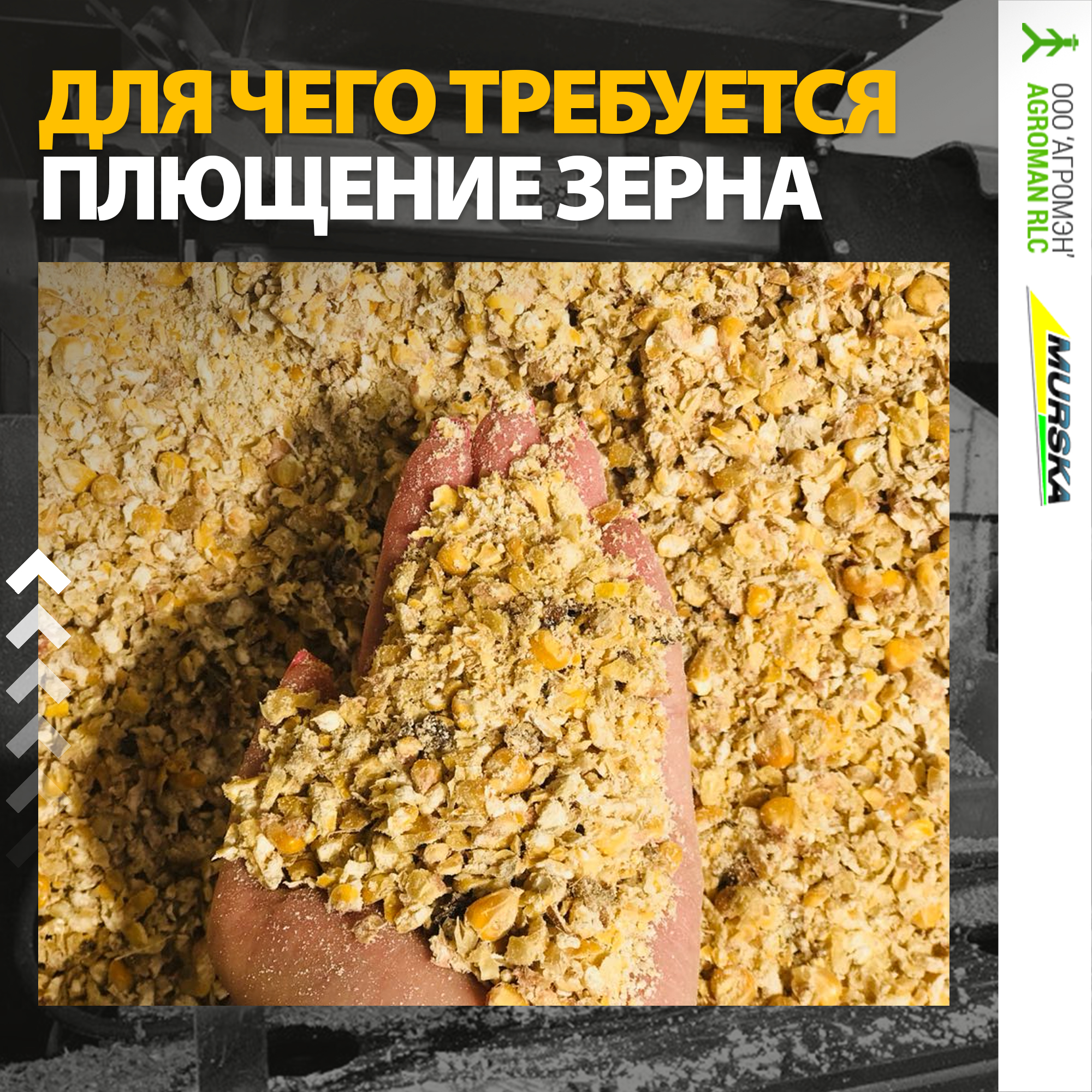 плющилка murska 1400 s2x2 с вальцами, упаковщики для помета, компания продажа запчастей для плющилок, упаковщики для помета, запасные части дисковые мельницы плющилки