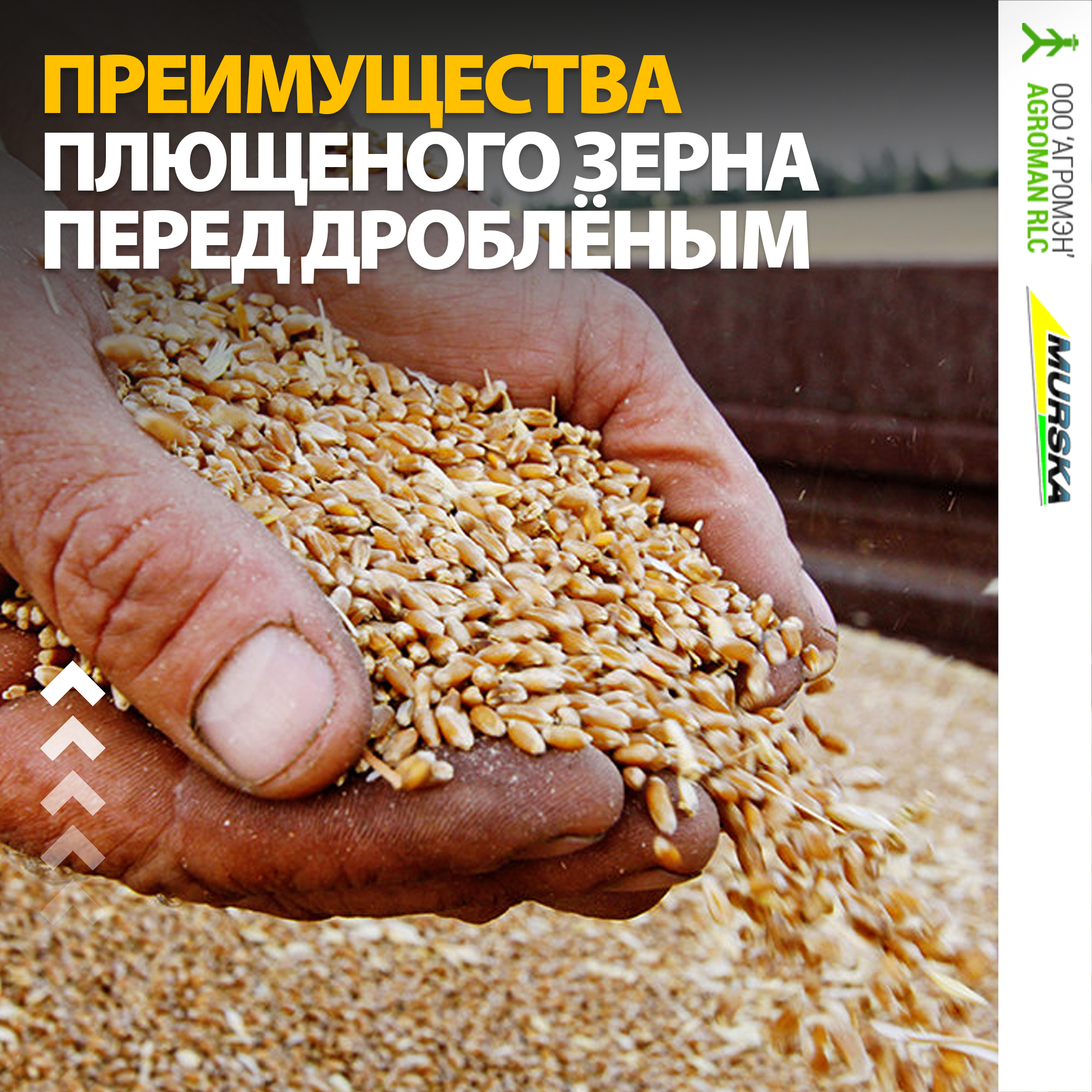 плющилки для зерна мурска, хранение зерна в рукавах, компания продажа запчастей для плющилок, хранение зерна в рукавах, запасные части вальцовые мельницы с упаковочным выходом