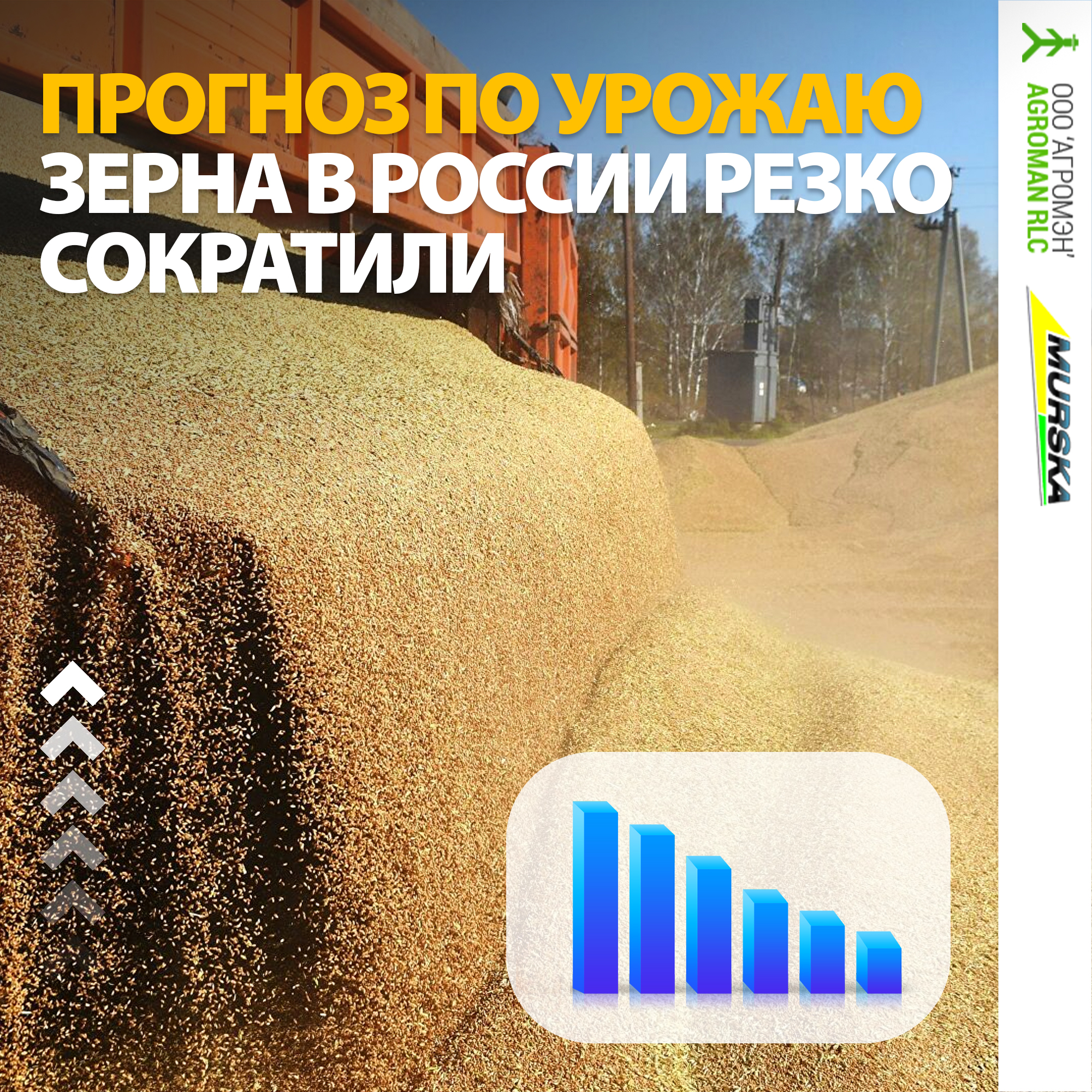 сравнение китайских плющилок, мельницы для корма, компания ООО АГРОМЭН поставщик Murska, мельницы для пшеницы, упаковщики для зерна