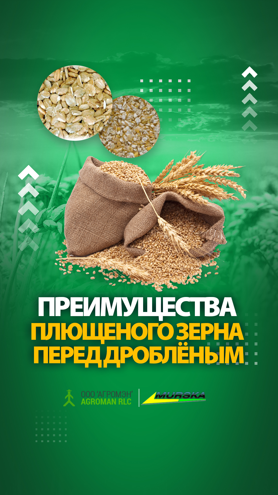плющилка зерна murska 1000, фермерское оборудование, АГРОМЭН дилер Murska, консерванты для плющения, купить консерванты для силоса и сенажа, фермерское оборудование что по чем и где полезно, запчасти для дисковые мельницы с ленточным транспортером