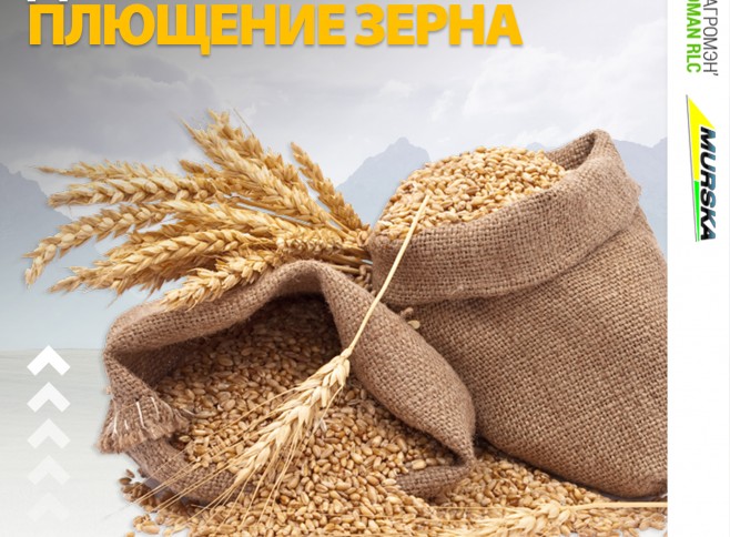 хранение зерна, компания продажа запчастей для плющилок, дешевые способы хранения зерна, плющение зерна оборудование
