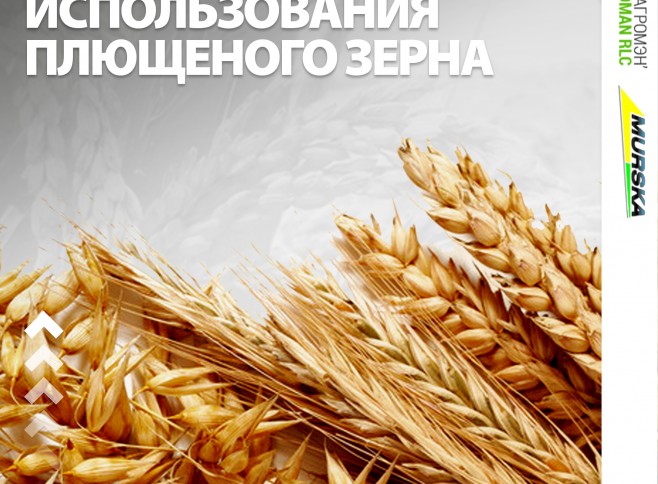 дешевые способы хранения зерна, консерванты для плющения, производители плющилок, вальцы для плющилки зерна, консерванты для силоса и сена
