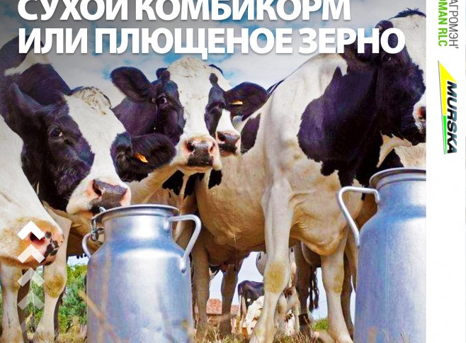 как избавиться от излишней влажности зерна, заказать плющилку, консерванты для плющения, купить консерванты для силоса и сенажа, какое обо