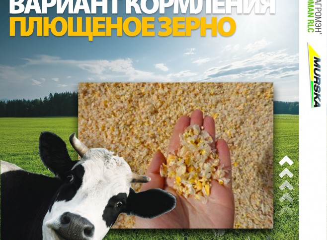 Хранение зерна в рукавах оборудование. АГРОМЭН поставщик мельниц Murska, консерванты для плющения, купить консерванты для силоса и сенажа, пр