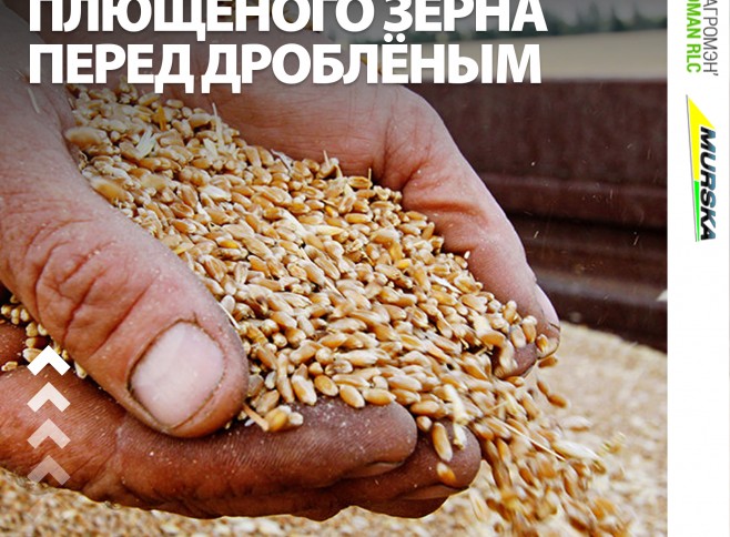 упаковщики для зерна, Рукава Murska для хранения зерна, упаковщики для зерна. поставщик мельниц и плющилок