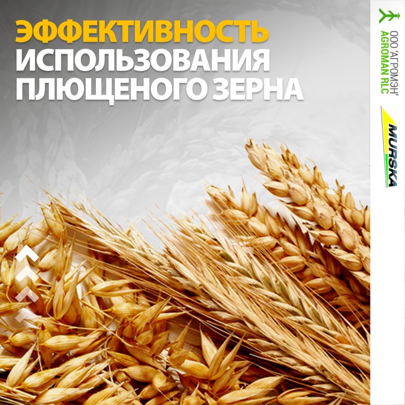 Плющилки Murska W-Max с дисками