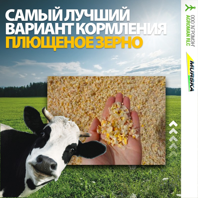 Оригинальные вальцы для плющилoк зерна на заказ