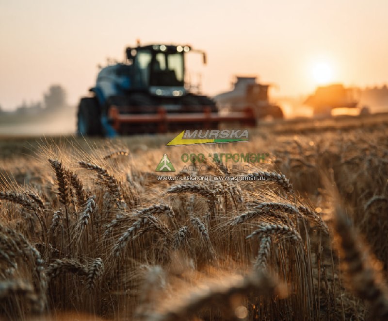 Вальцовая плющилка зерна, ячменя, пшеницы и кукурузы мощная плющилка