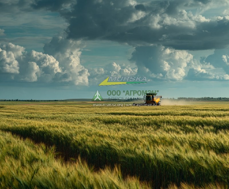 Вальцы для дробилки, плющилки
