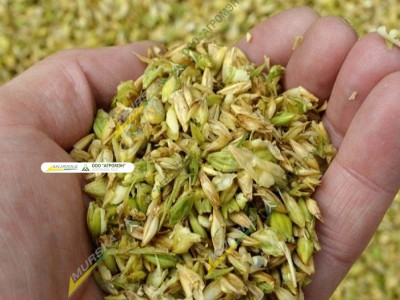 Дисковая мельница Murska W-Max 10F с элеватором